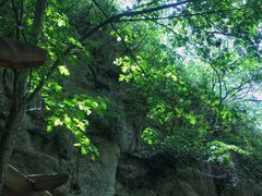 -大岭沟猕猴桃谷风景区
