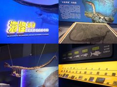 -浙江自然博物院(杭州馆)