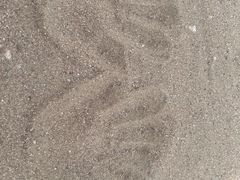 -椰风寨