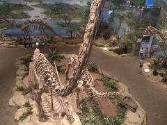 -自贡恐龙博物馆