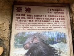 -长鹿旅游休博园