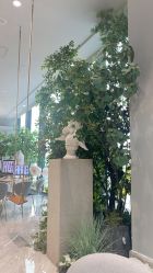 点击看大图 -MuseMarry婚纱(前海嘉里中心店)