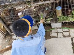 -樂桃源奉贤黄桃种植采摘基地