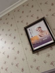 -静博士·养生养颜