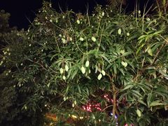 -珍记海鲜粥·海鲜粉