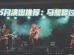 -坚果NUTS
