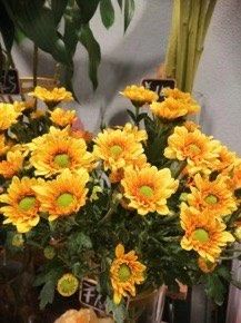 -BOBLOOM花店(宝龙旭辉广场店)