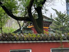 -望江楼公园