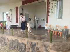 -南戴河国际娱乐中心