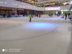 -TheRink大零溜冰场(IFS国金中心店)