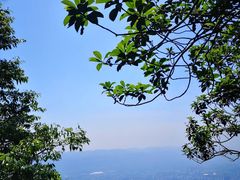 -缙云山景区