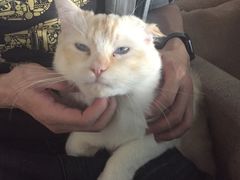 -赢吧Bliss音乐酒吧