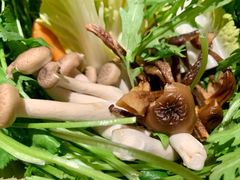 -ONE FULL 古董港式海鲜火锅