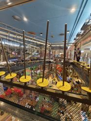 -卡通尼·Safari非洲探索乐园·生日会(金桥国际商业广场店)