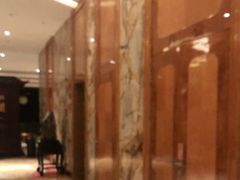 -东方山水金沙酒店-雅香阁中餐厅