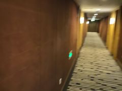 -北京长白山国际酒店(鸟巢店)
