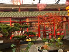 -老山东·山东菜(鲁菜名店)