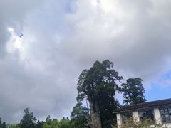 -云中大漈