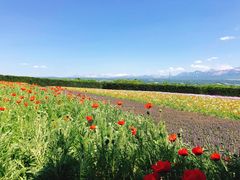 -富田农场