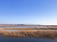 -乌梁素海景区