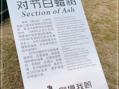 -苏州河梦清园环保主题公园