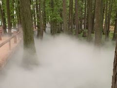 -东湖落雁景区