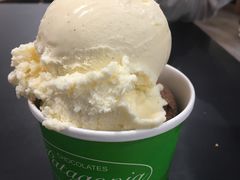冰淇淋-Patagonia Chocolates(皇后镇店)