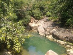 -广州白江湖森林公园