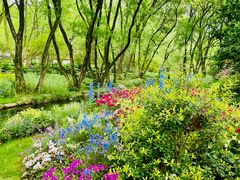 -上海共青森林公园