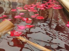 -苏州湾王焰温泉度假酒店