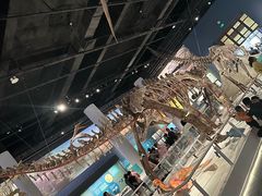 -国家自然博物馆