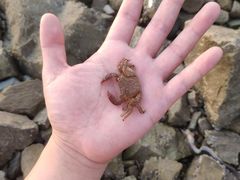 -在海一方公园
