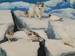 -陕西自然博物馆