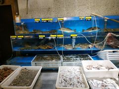 水产区-老妈疙瘩汤·平价海鲜专门店·老威海菜(渔港路店)