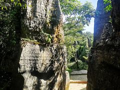 -山王坪喀斯特国家生态公园