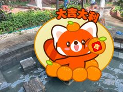 -青岛海泉湾度假区温泉