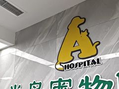 -半岛宠物医院24小时(白果林店)