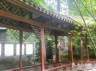 里面绿树成荫，秋天如图美丽的银杏树 推荐理由