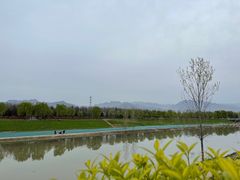 -洨河生态公园