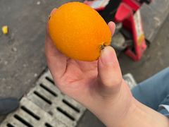 -西郊国际农产品交易中心