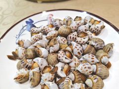 -百年银屏蚝烙·潮汕菜·非遗(乐山店)