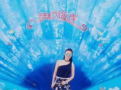 -巨鹏飞梦幻海岸