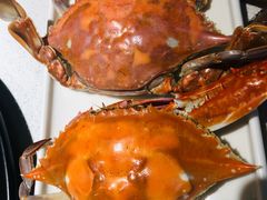 -大锅强·蒸海鲜青岛菜(吾悦广场店)