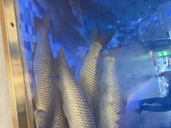 -粤顺渔坊·中山脆肉鲩火锅(清湖店)