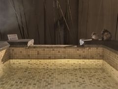 -春晖园度假酒店温泉