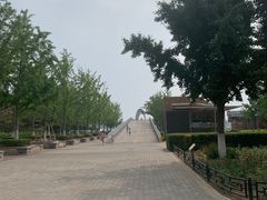 -大兴滨河森林公园