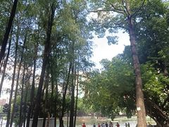 -荔湾湖公园