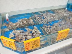 海鲜-德贤烧麦菜馆(本溪路店)