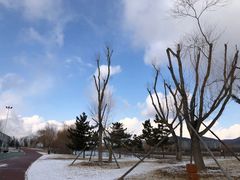 -羊亭河湿地公园