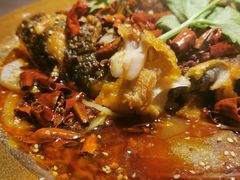 -吃城都·鱼蛙火锅(西玉龙街店)